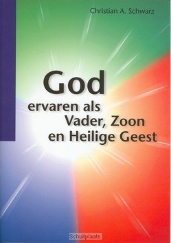 GOD ERVAREN ALS VADER ZOON HEILIGE GEEST - SCHWARZ - 9789060672471