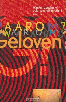 WAAROM ZOUDEN WIJ OOK MAAR IETS GELOVEN - SIRE - 9789063182328