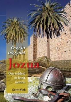 OOG IN OOG MET JOZUA - VINK, GERRIT - 9789064512940