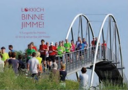 FRYSKE BIBEL MATTHEUS - 9789065394446