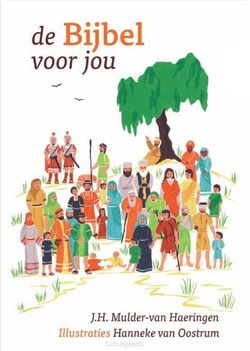 DE BIJBEL VOOR JOU - MULDER-VAN HAERINGEN, J.H. - 9789065394965