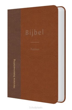 BIJBEL (HSV) MET PSALMEN EN INDEX - 9789065395399