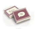 KAARTSPEL - SAMEN VIEREN - 9789065395863