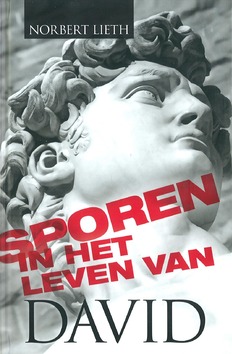 SPOREN IN HET LEVEN VAN DAVID - LIETH, NORBERT - 9789066031661