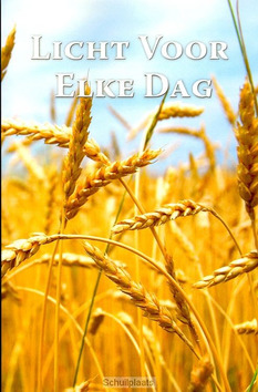 LICHT VOOR ELKE DAG - BAGSTER - 9789066591769