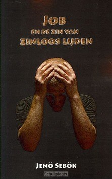 JOB EN DE ZIN VAN ZINLOOS LIJDEN - SEBOK - 9789066591790
