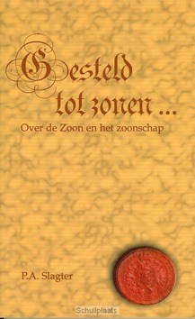 GESTELD TOT ZONEN - SLAGTER - 9789066942639