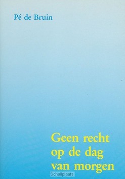 GEEN RECHT OP DE DAG VAN MORGEN - BRUIN - 9789070757038