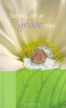 STRAKS ZUL JE GROOT ZIJN - 9789071272479
