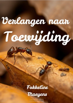 VERLANGEN NAAR TOEWIJDING - MAEYENS, FOKKELINE - 9789071688164