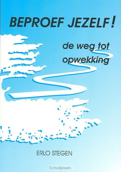 BEPROEF JEZELF - STEGEN - 9789073631137