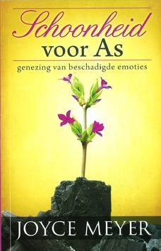 SCHOONHEID EN AS - MEYER - 9789074115704