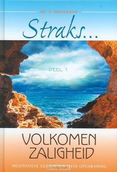 STRAKS VOLKOMEN ZALIGHEID - MOLENAAR, P. - 9789074787802