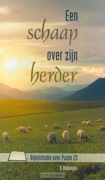 SCHAAP OVER ZIJN HERDER - ROSBERGEN, D. - 9789074787871