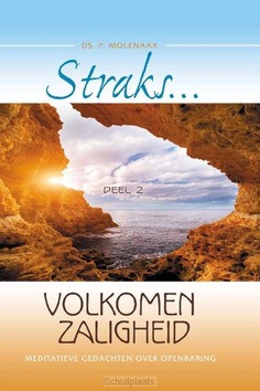 STRAKS VOLKOMEN ZALIGHEID 2 - MOLENAAR, P. - 9789074787888