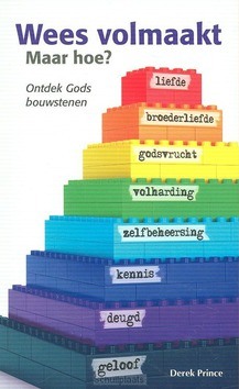WEES VOLMAAKT MAAR HOE? - PRINCE, DEREK - 9789075185843
