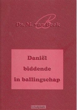 DANIEL BIDDENDE IN BALLINGSCHAP - BEEK - 9789075236385