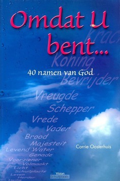 OMDAT U BENT - OOSTERHUIS - 9789075613377