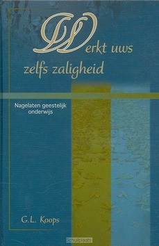 WERKT UWS ZELFS ZALIGHEID - KOOPS - 9789076731483