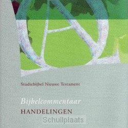 STUDIEBIJBEL NT  6 HANDELINGEN - 9789077651162