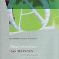 STUDIEBIJBEL NT  6 HANDELINGEN