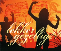 LEKKER GEZELLIG - DIV. ARTIESTEN - 9789078883999