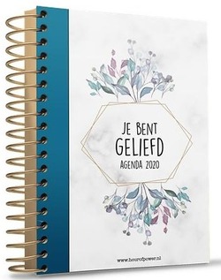 AGENDA 2020 JE BENT GELIEFD - HOUR OF POWER - 9789078893875