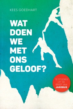 WAT DOEN WE MET ONS GELOOF? - GOEDHART, KEES - 9789079859986