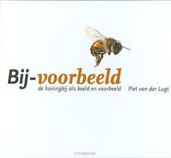 BIJ-VOORBEELD - LUGT - 9789079895021
