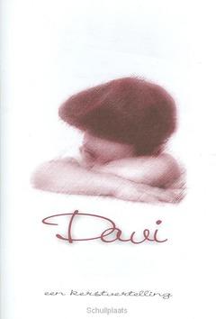 DAVI - HEUVEL - 9789080198654