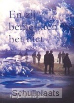 EN ZIJ BEMERKTEN HET NIET - TEEFFELEN - 9789080808980