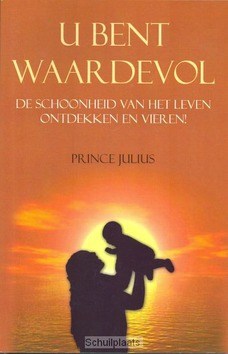 U BENT WAARDEVOL - JULIUS - 9789081506519
