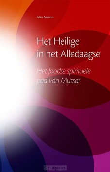 HET HEILIGE IN HET ALLEDAAGSE - MORINIS, ALAN - 9789081863995