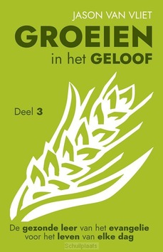 GROEIEN IN HET GELOOF 3 - VLIET, JASON, VAN - 9789081934794