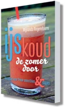 IJSKOUD DE ZOMER DOOR - HOGENDOORN, WIJNANDA - 9789082389418