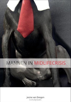MANNEN IN MIDLIFECRISIS - DONGEN, JOSINE VAN - 9789082817607