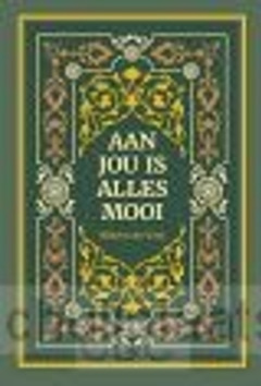 AAN JOU IS ALLES MOOI - VINK, WILLEM DE - 9789082953909