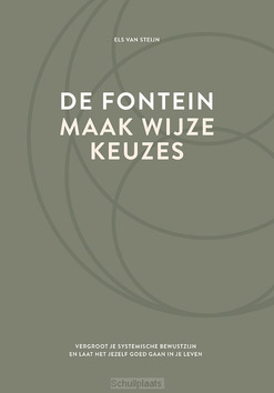 DE FONTEIN, MAAK WIJZE KEUZES - STEIJN, ELS VAN - 9789083104140