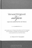 VERWACHTINGSVOL UITZIEN