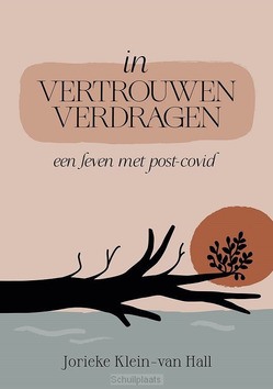 IN VERTROUWEN VERDRAGEN - KLEIN-VAN HALL, JORIEKE - 9789083453033