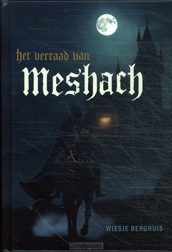 HET VERRAAD VAN MESHACH - BERGHUIS, WIESJE - 9789083506609