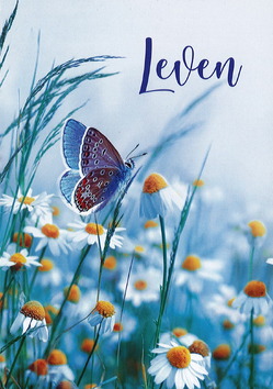 BASISBIJBEL NIEUW TESTAMENT LEVEN - 9789083578774