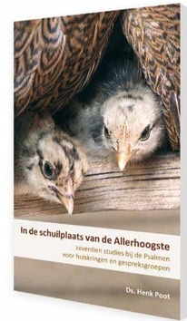 In de schuilplaats van de Allerhoogste - Poot, Henk - 9789085202851