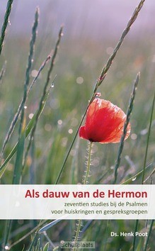 ALS DAUW VAN DE HERMON - POOT, HENK - 9789085203063