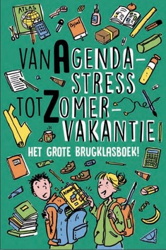 VAN AGENDASTRESS TOT ZOMERVAKANTIE - 9789085433255