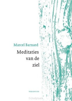 MEDITATIES VAN DE ZIEL - BARNARD, MARCEL - 9789086598052