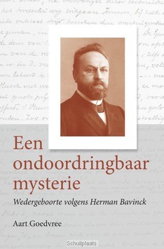 ONDOORDRINGBAAR MYSTERIE - GOEDVREE, AART - 9789087181253