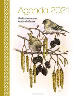 MATTIE AGENDA 2021 - BRUINE, MATTIE DE - 9789087182625