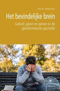 BEVINDELIJKE BREIN - 9789087185169