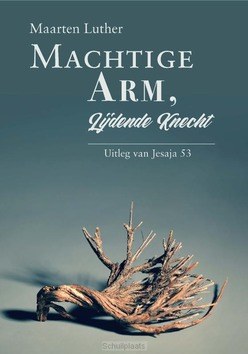 MACHTIGE ARM LIJDENDE KRACHT - LUTHER, MAARTEN - 9789087187323